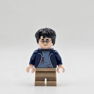 LEGO hp419 Harry Potter Minifigur