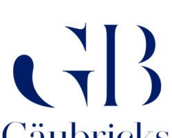 Gäubricks Shop