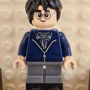 LEGO hp495 Harry Potter Minifigur